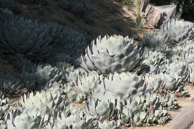 At Los Angeles Zoo
(Click on the picture for the full-size version)