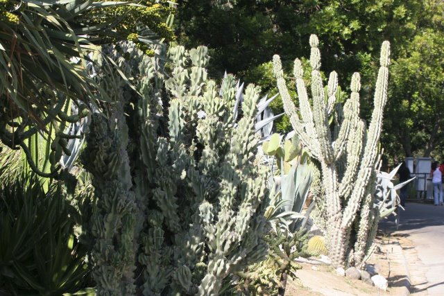 At Los Angeles Zoo
(Click on the picture for the full-size version)