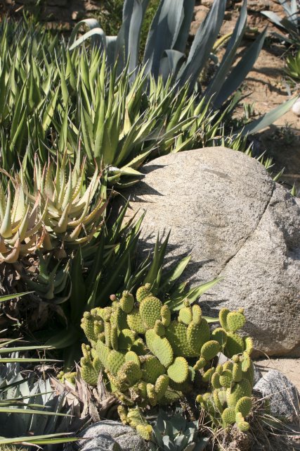 At Los Angeles Zoo
(Click on the picture for the full-size version)