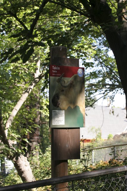 At Los Angeles Zoo
(Click on the picture for the full-size version)