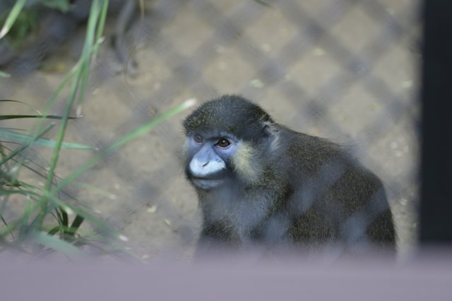 At Los Angeles Zoo
(Click on the picture for the full-size version)