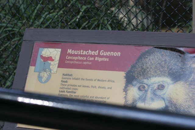 At Los Angeles Zoo
(Click on the picture for the full-size version)