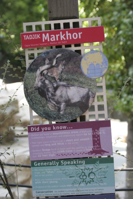 At Los Angeles Zoo
(Click on the picture for the full-size version)