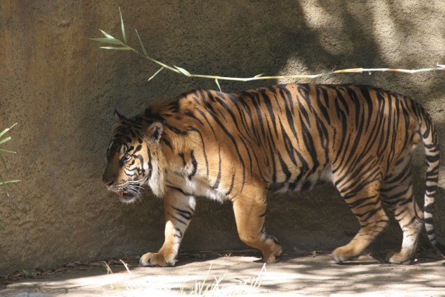 At Los Angeles Zoo
(Click on the picture for the full-size version)