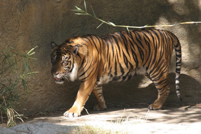 At Los Angeles Zoo
(Click on the picture for the full-size version)