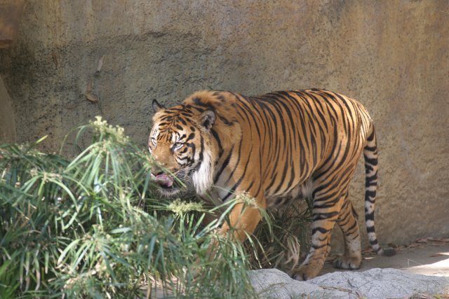 At Los Angeles Zoo
(Click on the picture for the full-size version)