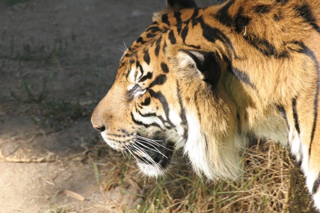 At Los Angeles Zoo
(Click on the picture for the full-size version)