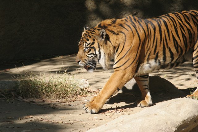At Los Angeles Zoo
(Click on the picture for the full-size version)