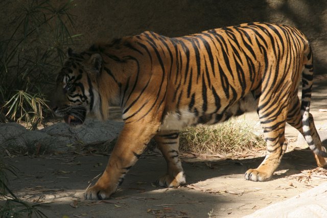 At Los Angeles Zoo
(Click on the picture for the full-size version)