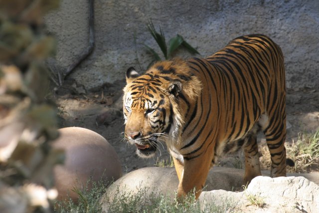 At Los Angeles Zoo
(Click on the picture for the full-size version)