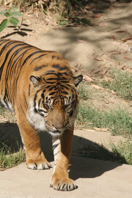 At Los Angeles Zoo
(Click on the picture for the full-size version)