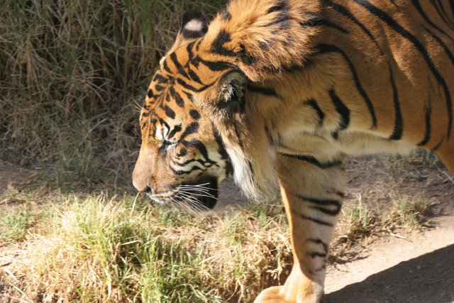 At Los Angeles Zoo
(Click on the picture for the full-size version)