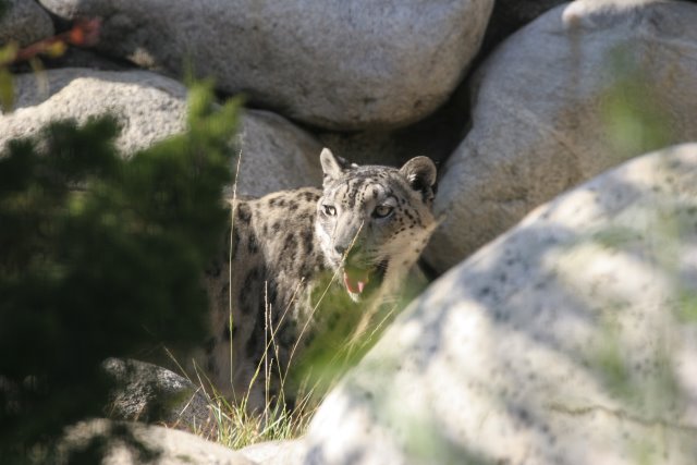 At Los Angeles Zoo
(Click on the picture for the full-size version)
