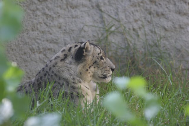 At Los Angeles Zoo
(Click on the picture for the full-size version)