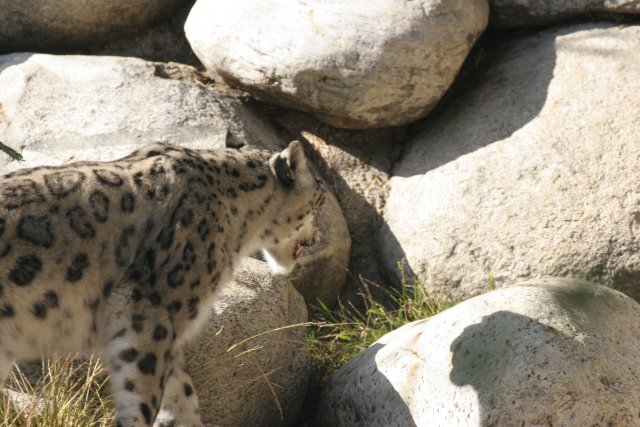 At Los Angeles Zoo
(Click on the picture for the full-size version)