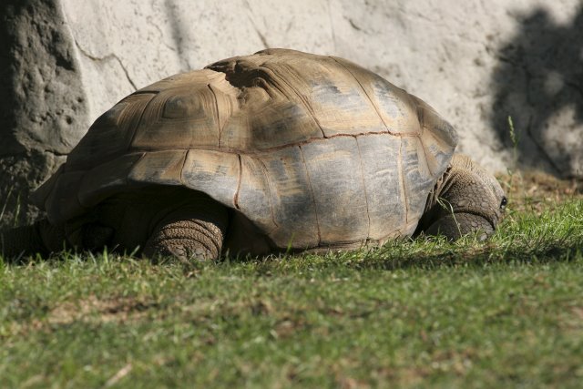 At Los Angeles Zoo
(Click on the picture for the full-size version)