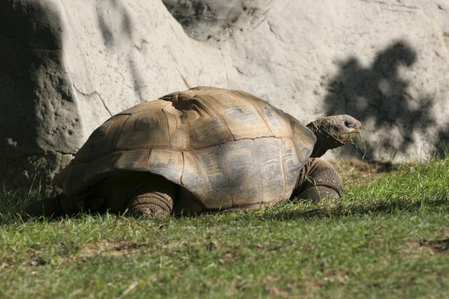 At Los Angeles Zoo
(Click on the picture for the full-size version)