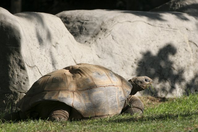At Los Angeles Zoo
(Click on the picture for the full-size version)
