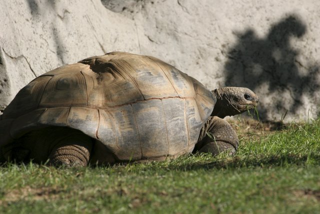 At Los Angeles Zoo
(Click on the picture for the full-size version)