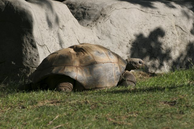 At Los Angeles Zoo
(Click on the picture for the full-size version)