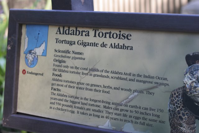 At Los Angeles Zoo
(Click on the picture for the full-size version)