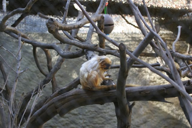 At Los Angeles Zoo
(Click on the picture for the full-size version)