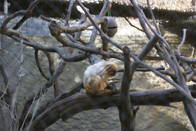 At Los Angeles Zoo
(Click on the picture for the full-size version)