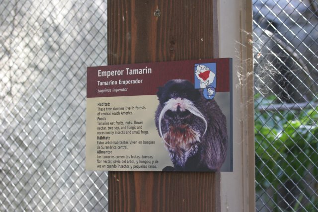 At Los Angeles Zoo
(Click on the picture for the full-size version)