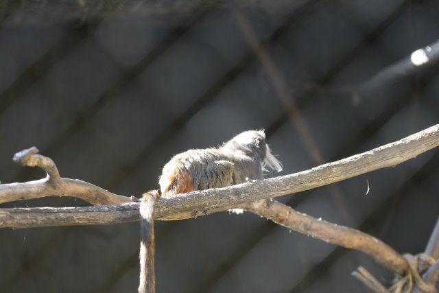 At Los Angeles Zoo
(Click on the picture for the full-size version)