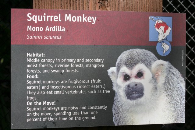 At Los Angeles Zoo
(Click on the picture for the full-size version)