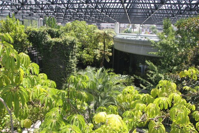 La Brea Tar Pits
(Click on the picture for the full-size version)