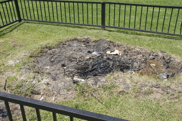 La Brea Tar Pits
(Click on the picture for the full-size version)