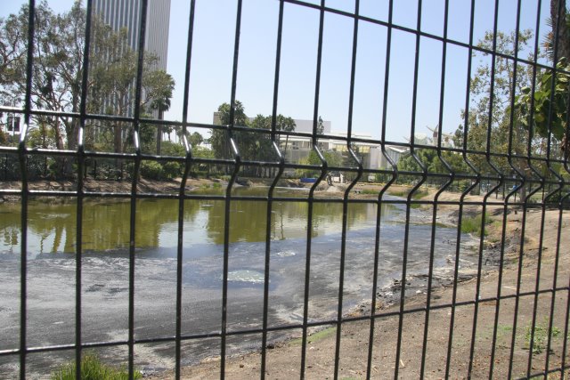 La Brea Tar Pits
(Click on the picture for the full-size version)