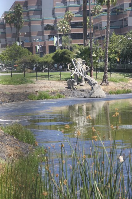 La Brea Tar Pits
(Click on the picture for the full-size version)