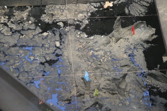 La Brea Tar Pits
(Click on the picture for the full-size version)