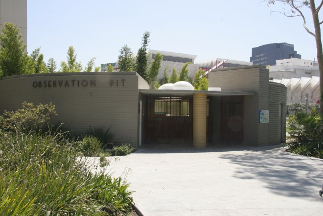 La Brea Tar Pits
(Click on the picture for the full-size version)