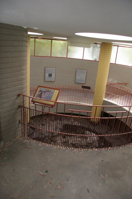 La Brea Tar Pits
(Click on the picture for the full-size version)