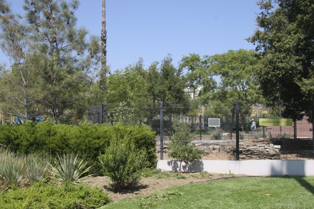 La Brea Tar Pits
(Click on the picture for the full-size version)