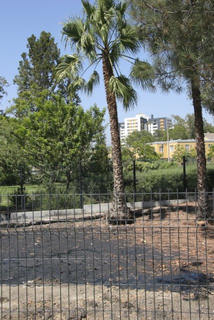 La Brea Tar Pits
(Click on the picture for the full-size version)