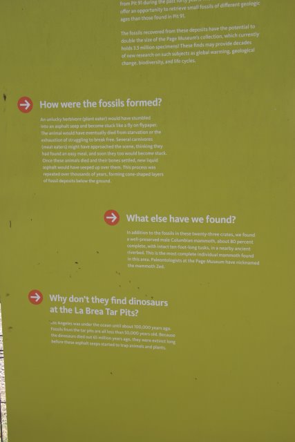 La Brea Tar Pits
(Click on the picture for the full-size version)