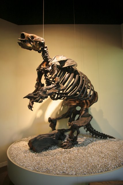 La Brea Tar Pits
(Click on the picture for the full-size version)