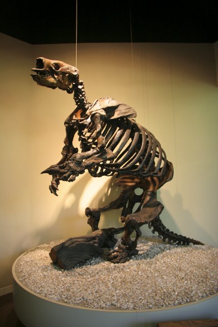 La Brea Tar Pits
(Click on the picture for the full-size version)