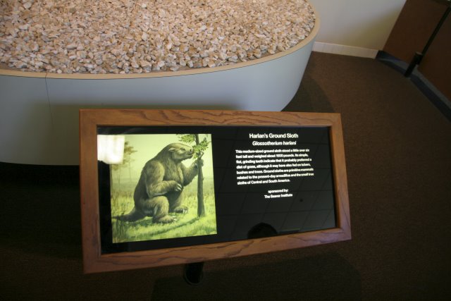 La Brea Tar Pits
(Click on the picture for the full-size version)