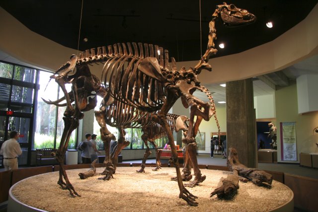 La Brea Tar Pits
(Click on the picture for the full-size version)