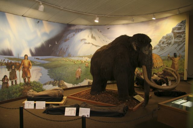 La Brea Tar Pits
(Click on the picture for the full-size version)