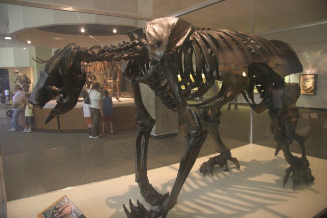 La Brea Tar Pits
(Click on the picture for the full-size version)