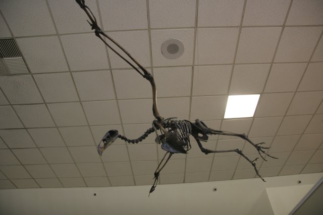 La Brea Tar Pits
(Click on the picture for the full-size version)