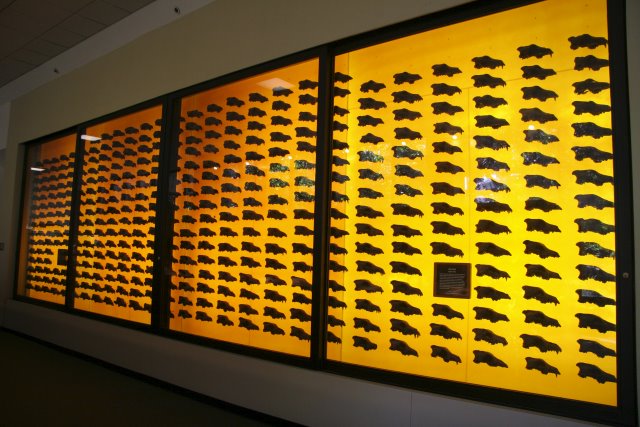 La Brea Tar Pits
(Click on the picture for the full-size version)