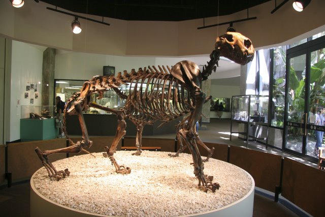 La Brea Tar Pits
(Click on the picture for the full-size version)