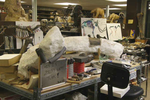 La Brea Tar Pits
(Click on the picture for the full-size version)